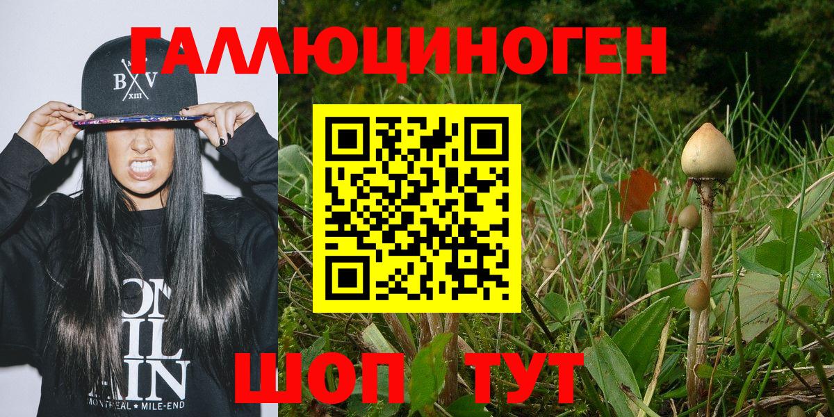 Псилоцибиновые грибы ЛСД Похвистнево