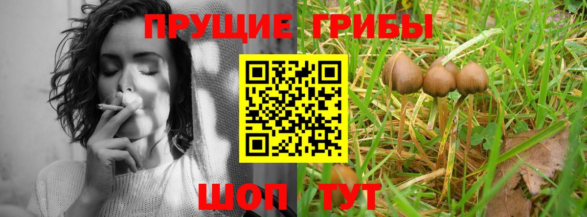 Похвистнево  Псилоцибиновые грибы ЛСД  Вход с VPN 